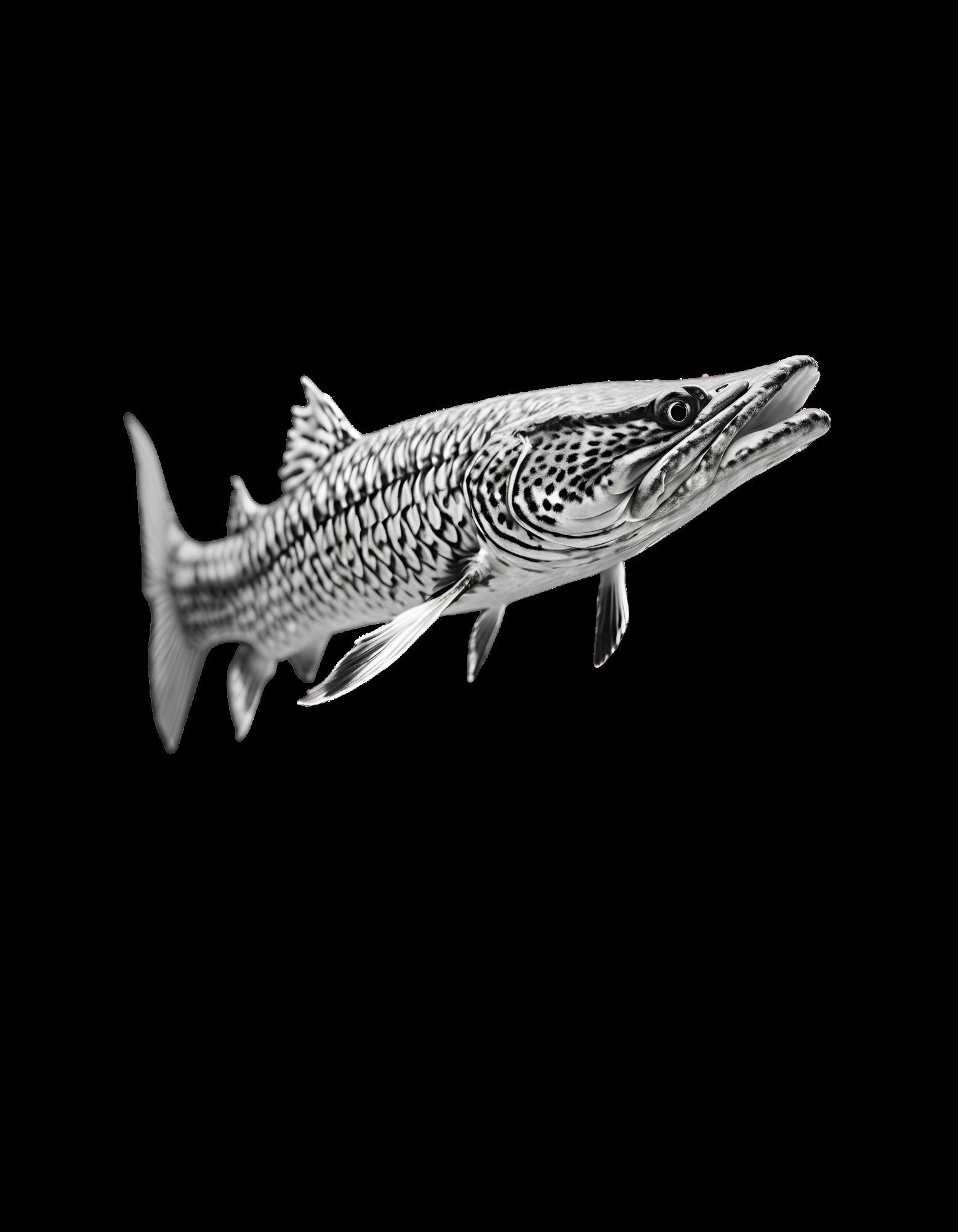 Art Design: Tiere